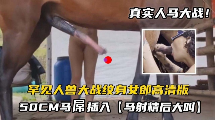 人马情未了无套内射
