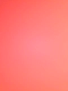 search +kitty article _Trim.