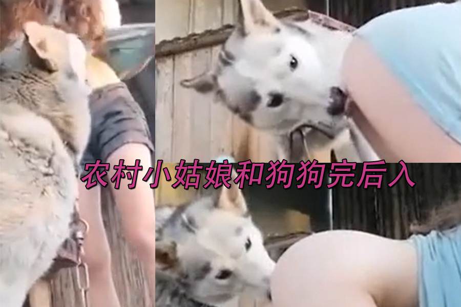 农村小姑娘和狗狗完后入