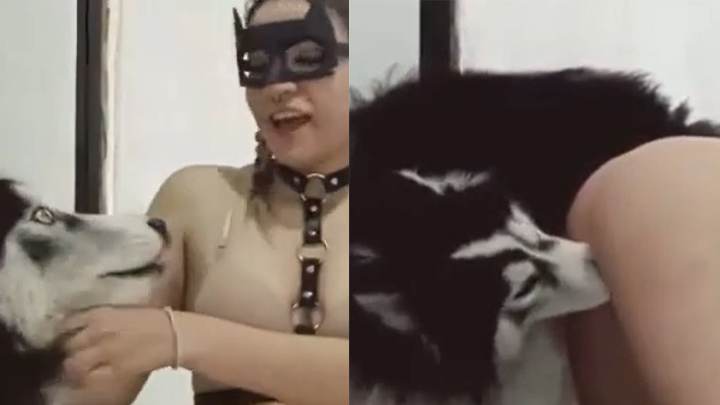 傻白甜喜欢和自己的二哈狗做爱