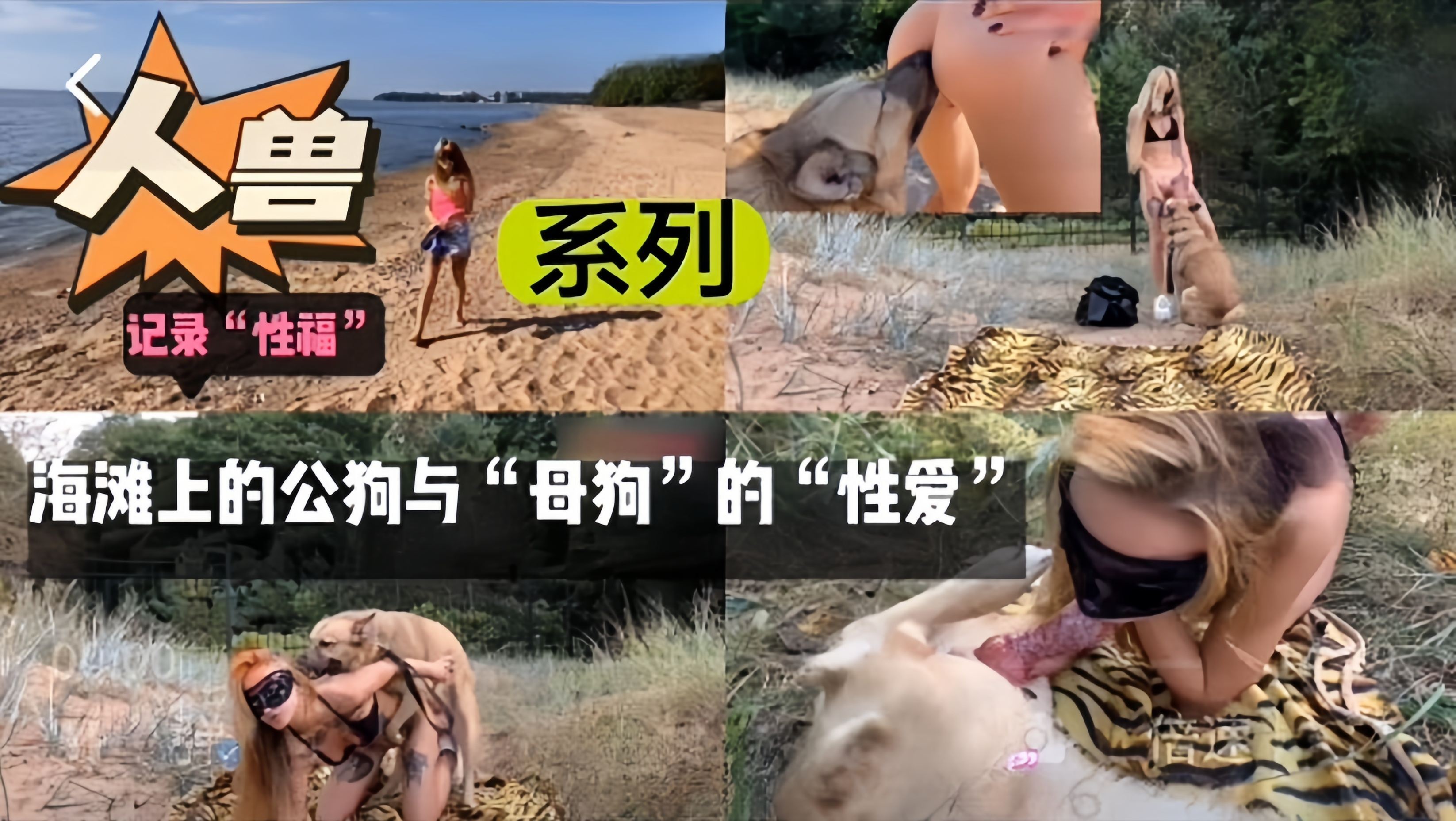 海滩上的公狗与母狗的性爱