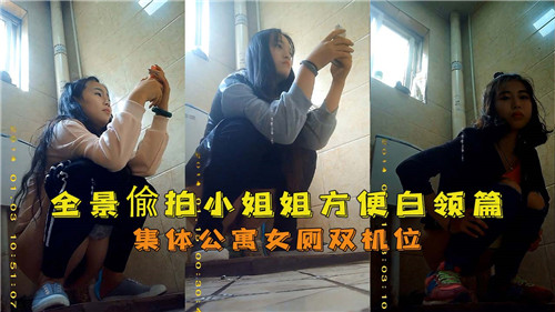 全景偷拍小姐姐方便白领篇集体公寓女厕双机位
