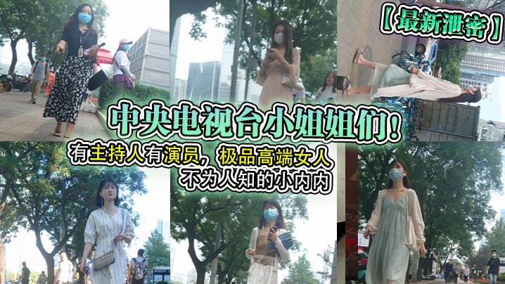 最新泄密中央电视台小姐姐们有主持人有演员极品高端女人不为人知的小内内